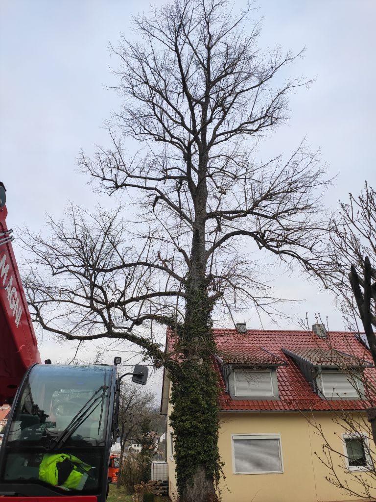 Threema_2024-03-02_18-34-55